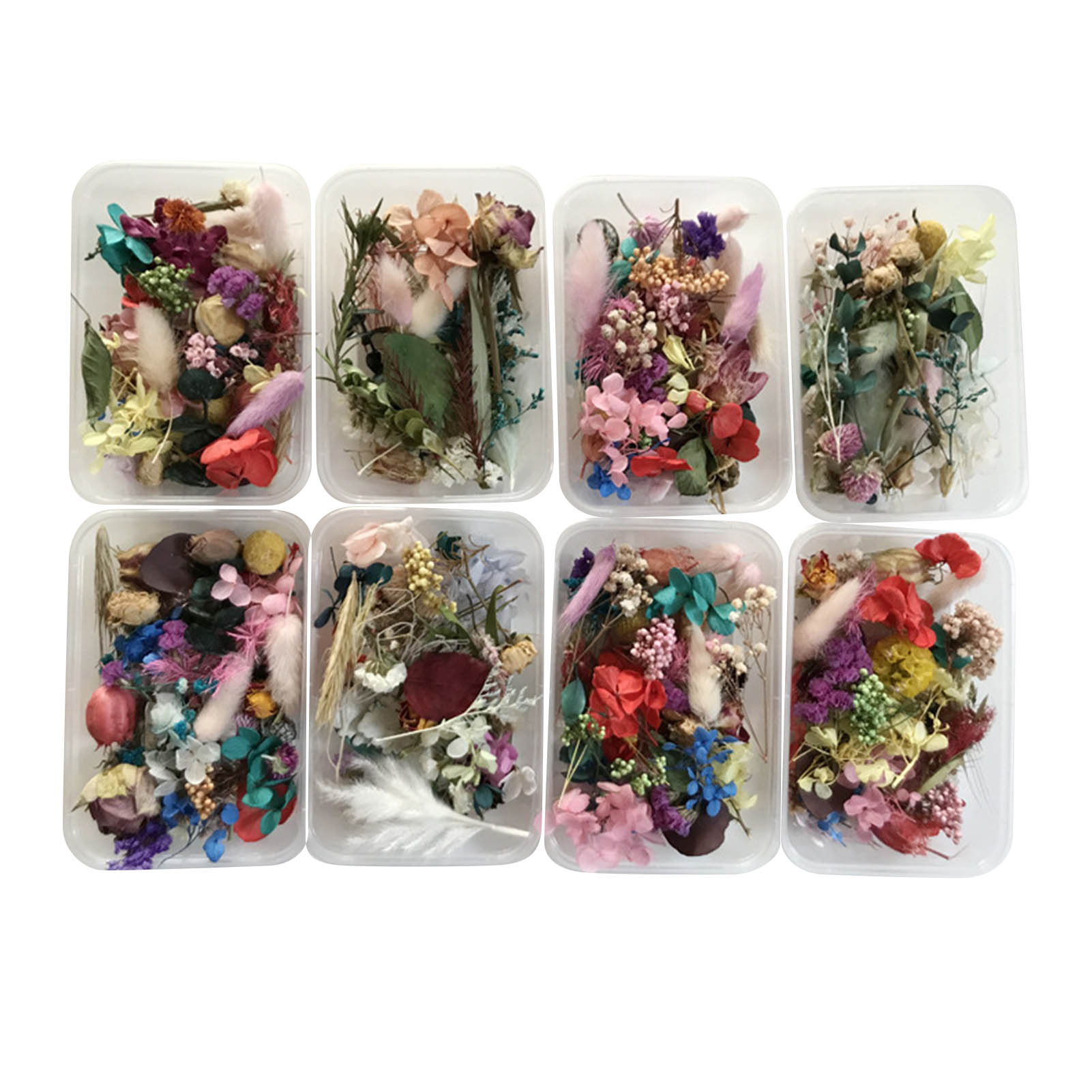 Dried Herbs - Kit de flores secas naturales, obra